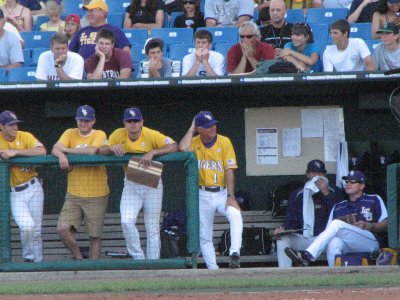LSU game3 310.jpg