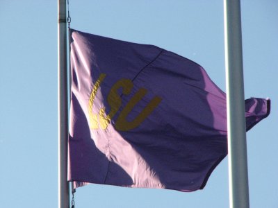 LSU game3 372.jpg