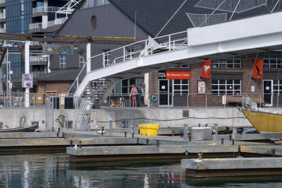 harbour