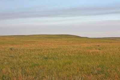 Valley-Co.-Grasslands.jpg