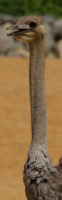 g1/96/912896/3/126540041.StNP4wB2.jpg
