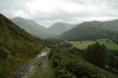 Up the path