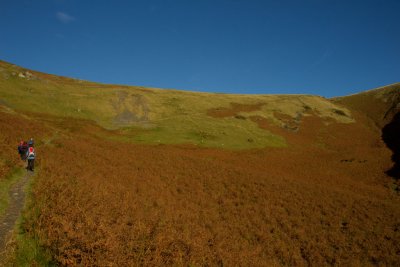 Ascent Mousthwaite Comb