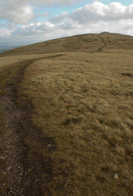 Path back to Carrock Fell