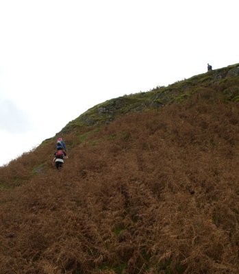A nice gentle climb!