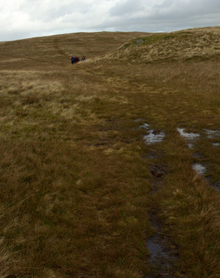 Further along the ridge