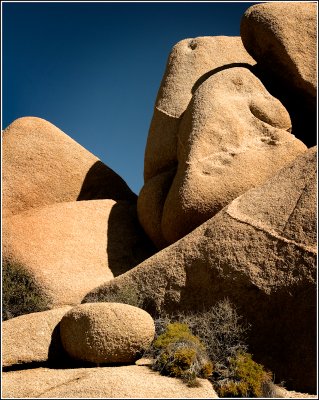 Joshua Tree Rocks