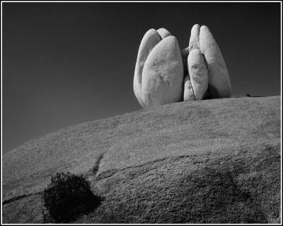 Joshua Tree Pillers