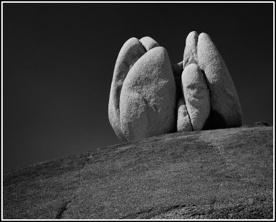 Joshua Tree Pillers #2