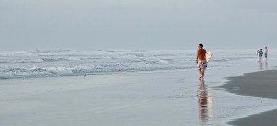 Surveying the Surf