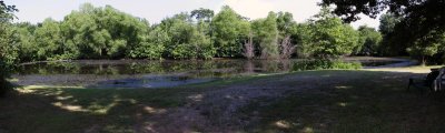 dead-pond-pano.jpg