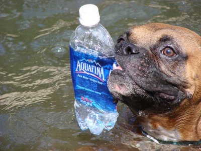 Cooling Off