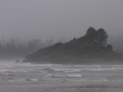 Stormy Shoreline