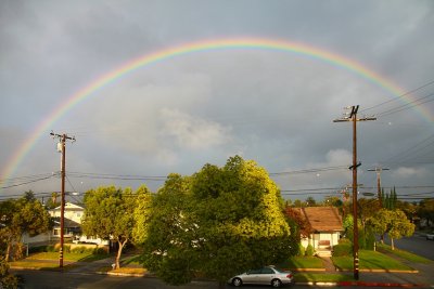 If happy little bluebirds fly Beyond the Rainbow, Why, oh why can't I?