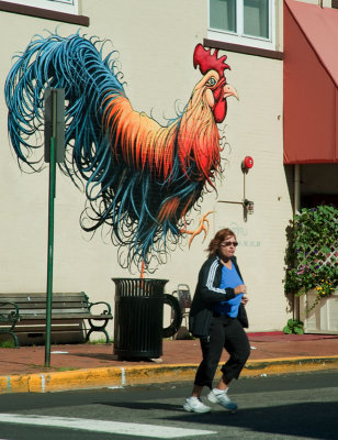 Rooster