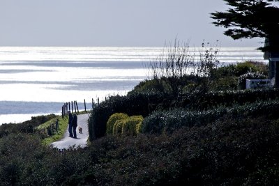 Walking the dog