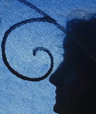 Fairy Wing