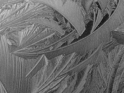 Jack Frost #2