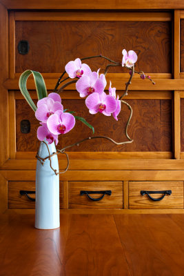 Fourth Place - orchids and tansu by Michael Puff