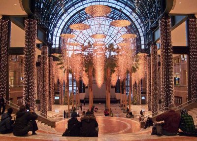 Lights in the Winter Garden