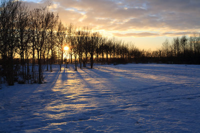 snowy sunset shadows