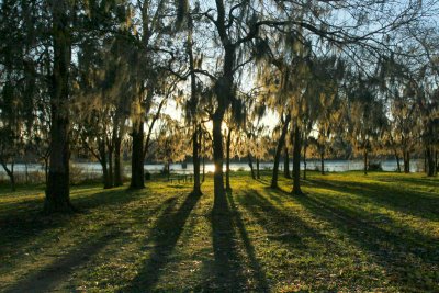 Sundown on the Bayou