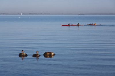 serene sea scene