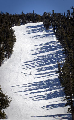 Solitary Skier