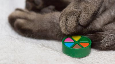 Trivial Purrsuit