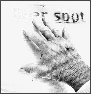 7th Place liver SPOT by shu