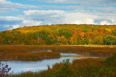 3rd: Autumn is Starting - By Jim MSP