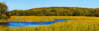 Environmental Changes