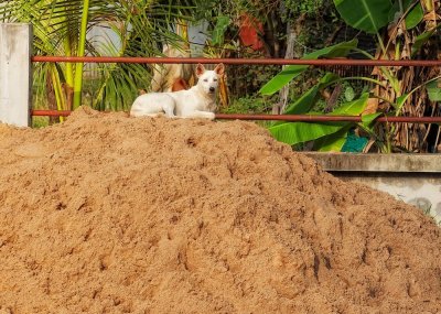 Top of the Heap