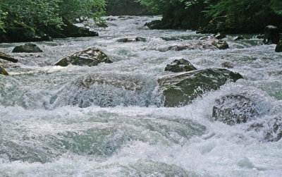 The Waters Around You Have Grown