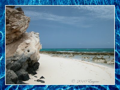 g1/96/946096/3/125875358.g4AXNREy.jpg