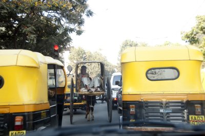 One of the really striking things about traffic in India is the mix of vehicles, animals, and pedestrians