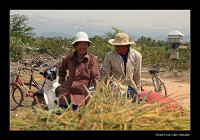 9770 Vietnam men at rice harvest