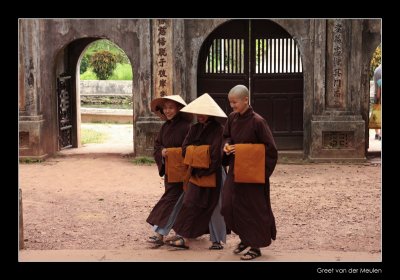 8451 Vietnam, nuns