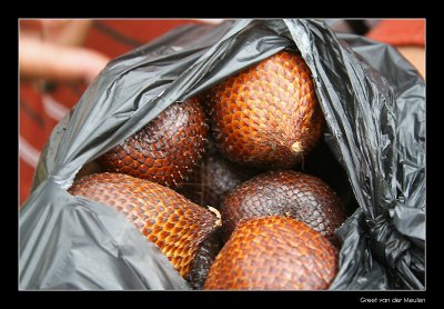 3394 Indonnesia,, snakeskinfruit