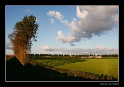 8918 long shadows in Dutch landscape