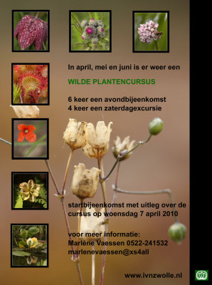 poster wild plant course 2010