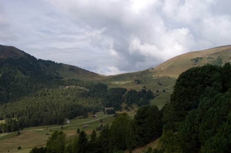 On Sunday we explore the high meadows on the valleys north side, above Selva