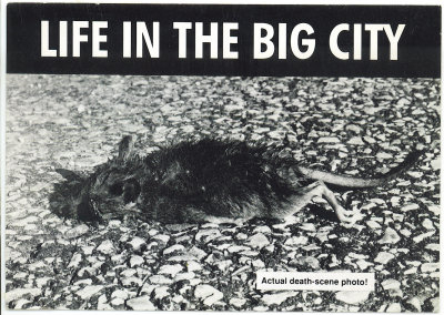 Life In The Big City Actual Death Scene Photo