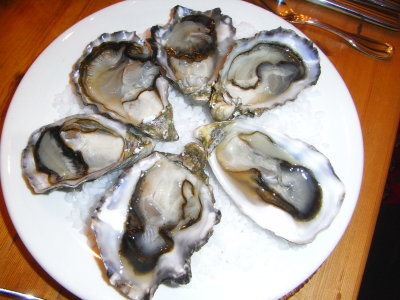 Oyster for Dinner