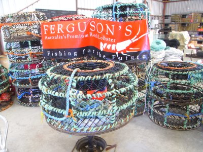 Ferguson's Lobster