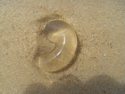 unknown jelly