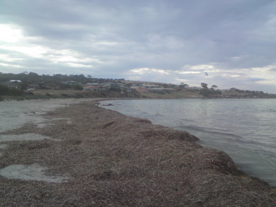 Emu Bay