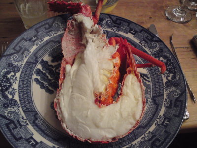 Our lobster for dinner
