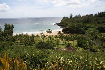 Coastal Overlook