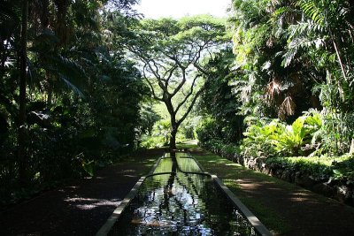 Reflecting Pool
